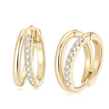 Double Hoop Earrings